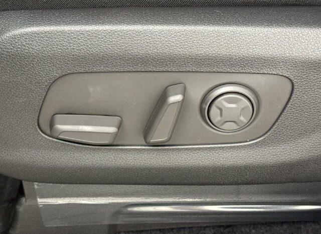 
								Kia Carnival full									