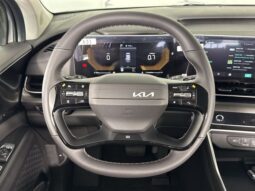 
										Kia Carnival full									