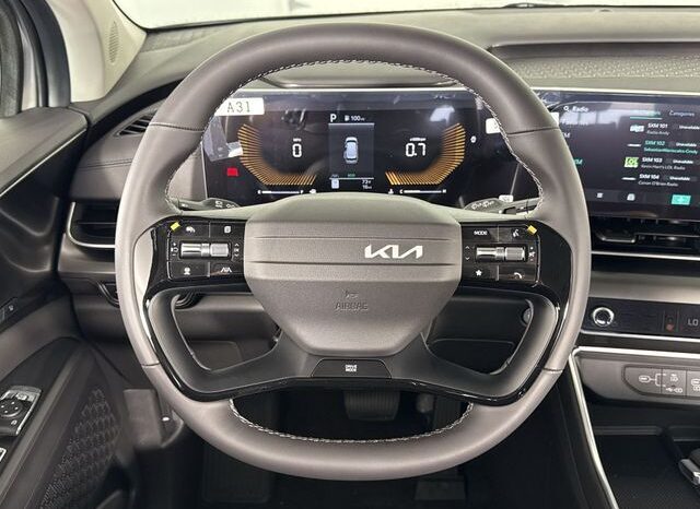 
								Kia Carnival full									