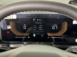
										Kia Carnival full									