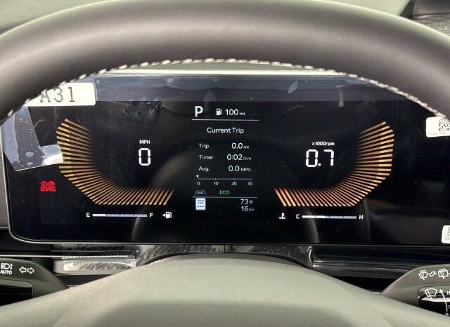 
								Kia Carnival full									