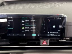 
										Kia Carnival full									