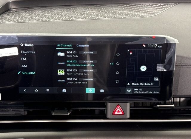 
								Kia Carnival full									