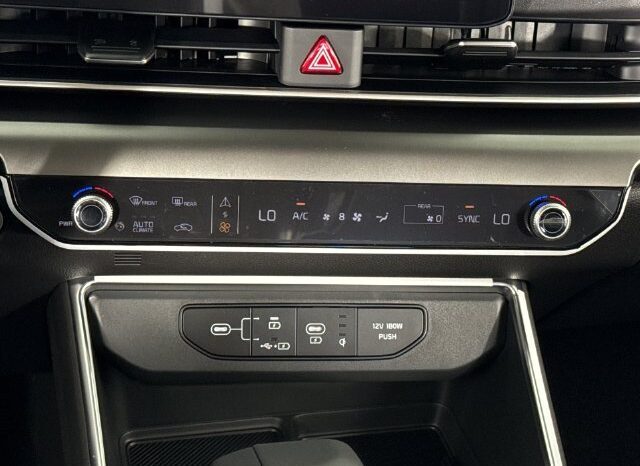 
								Kia Carnival full									