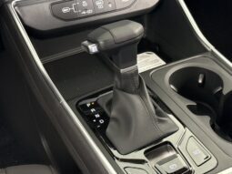 
										Kia Carnival full									