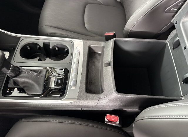 
								Kia Carnival full									