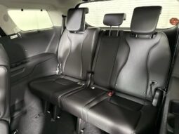 
										Kia Carnival full									