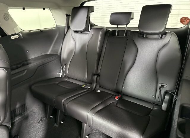 
								Kia Carnival full									