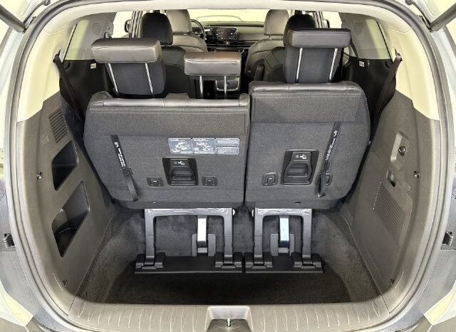 
								Kia Carnival full									