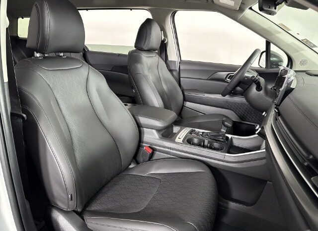 
								Kia Carnival full									