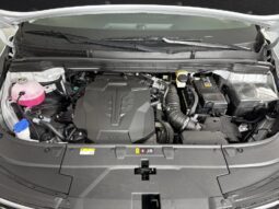 
										Kia Carnival full									