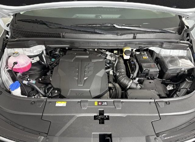 
								Kia Carnival full									