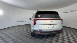 
										Kia Carnival full									