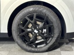 
										Kia Carnival full									