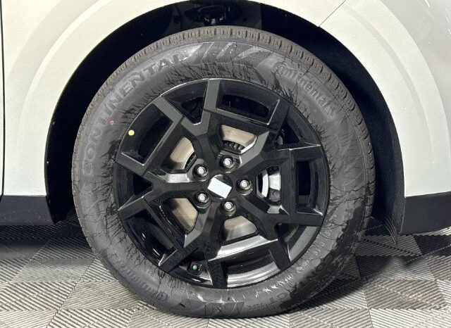 
								Kia Carnival full									