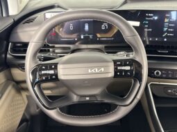 
										Kia Carnival full									