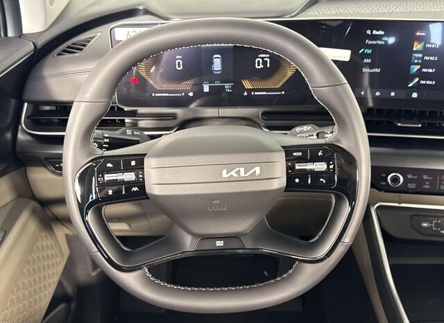 
								Kia Carnival full									