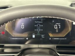 
										Kia Carnival full									