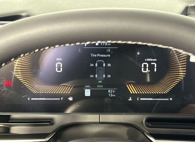 
								Kia Carnival full									