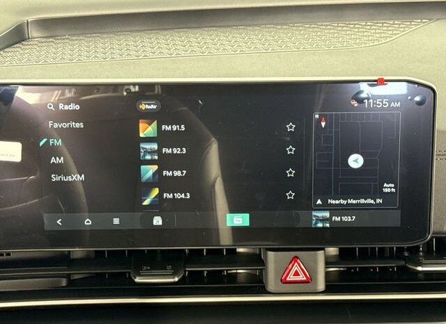 
								Kia Carnival full									