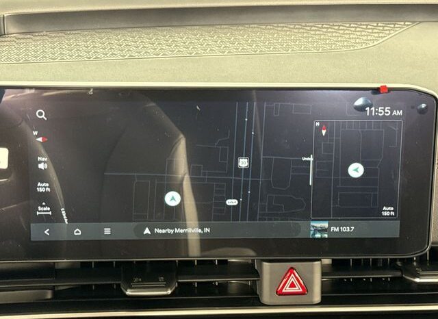 
								Kia Carnival full									