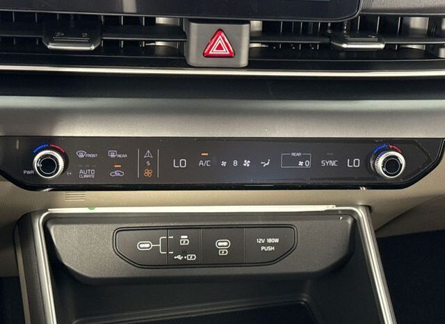 
								Kia Carnival full									