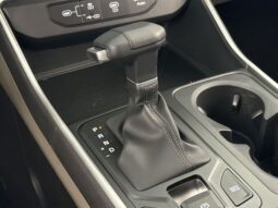 
										Kia Carnival full									