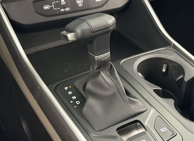 
								Kia Carnival full									