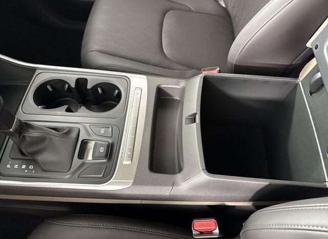 
								Kia Carnival full									