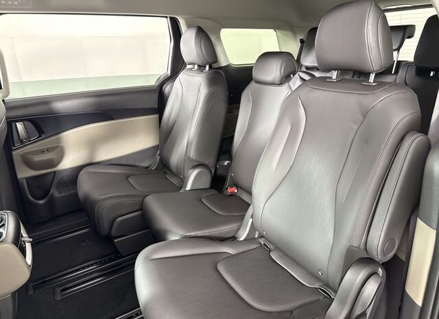 
								Kia Carnival full									