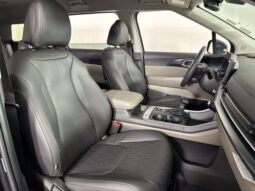 
										Kia Carnival full									