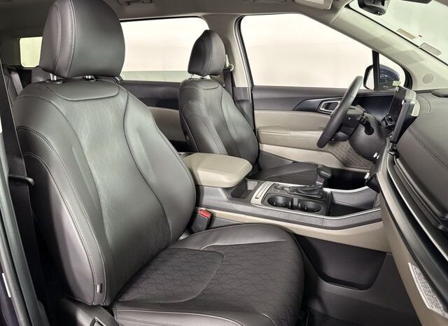 
								Kia Carnival full									