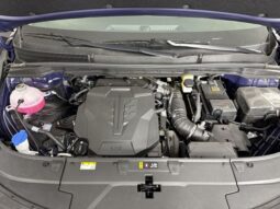
										Kia Carnival full									