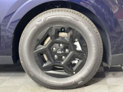 
										Kia Carnival full									