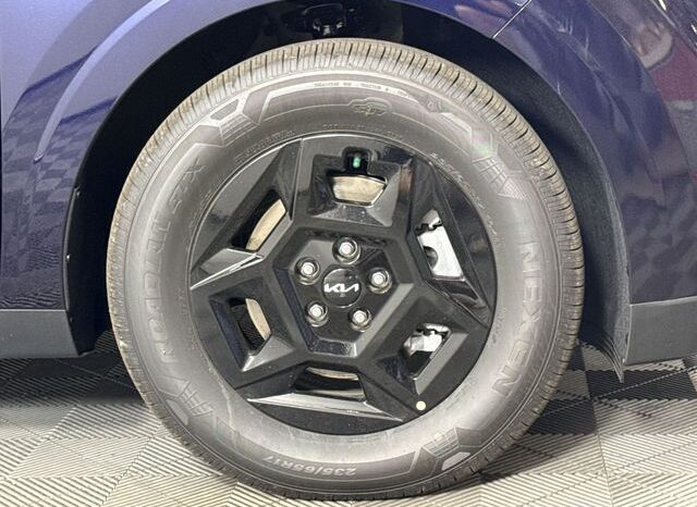 
								Kia Carnival full									