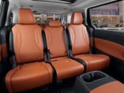 
 Kia Carnival full									