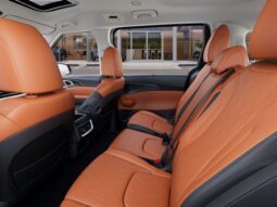 
 Kia Carnival full									