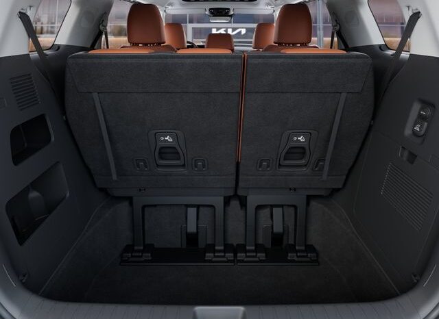
 Kia Carnival full									