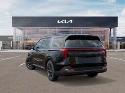 
 Kia Carnival full									