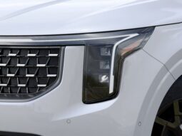 Kia Carnival Hybrid full