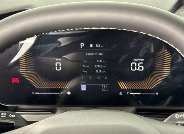 
								Kia Carnival full									