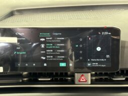 
										Kia Carnival full									
