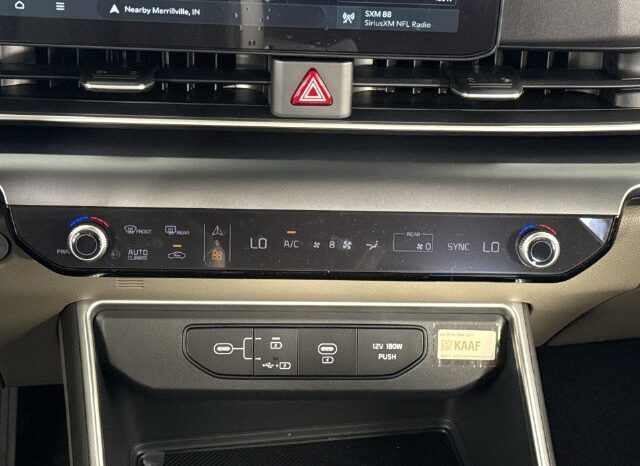 
								Kia Carnival full									