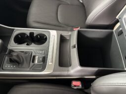
										Kia Carnival full									