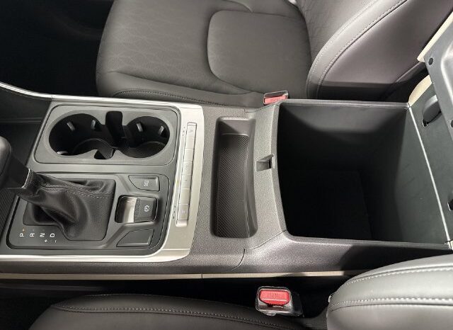
								Kia Carnival full									