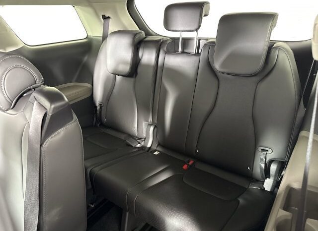 
								Kia Carnival full									