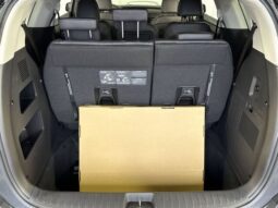 
										Kia Carnival full									