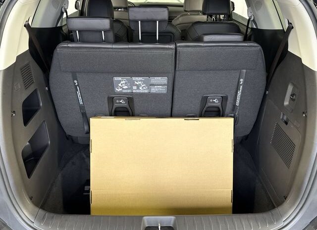 
								Kia Carnival full									