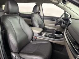 
										Kia Carnival full									