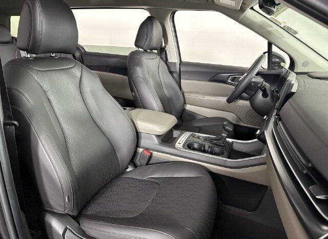 
								Kia Carnival full									